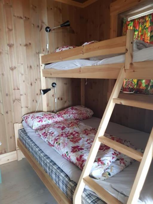 Annex Fjara Greater Oslos View Sleeps 10 Guests In 3 Bedrooms *
