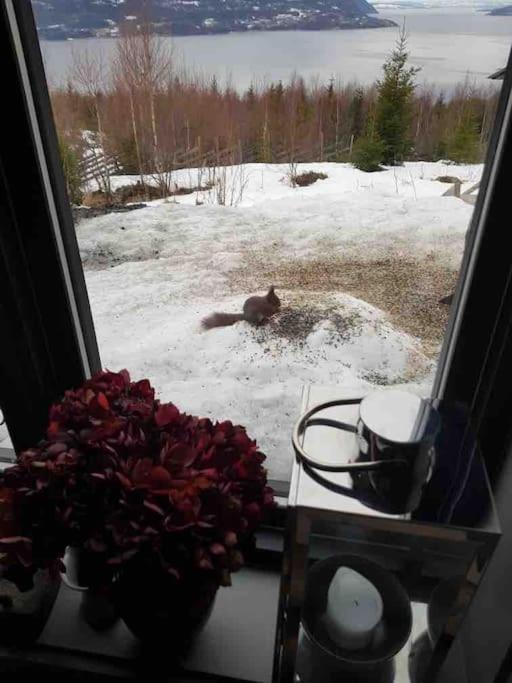 Holiday home Annex Fjara Greater Oslos View Sleeps 10 Guests In 3 Bedrooms *