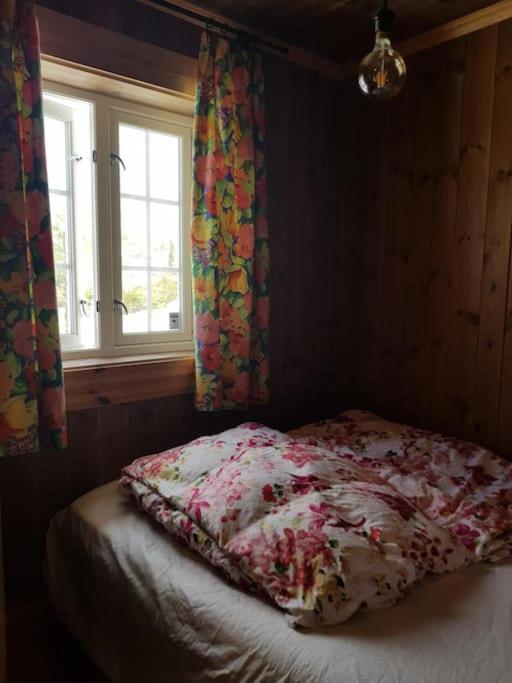 Annex Fjara Greater Oslos View Sleeps 10 Guests In 3 Bedrooms Holiday home *